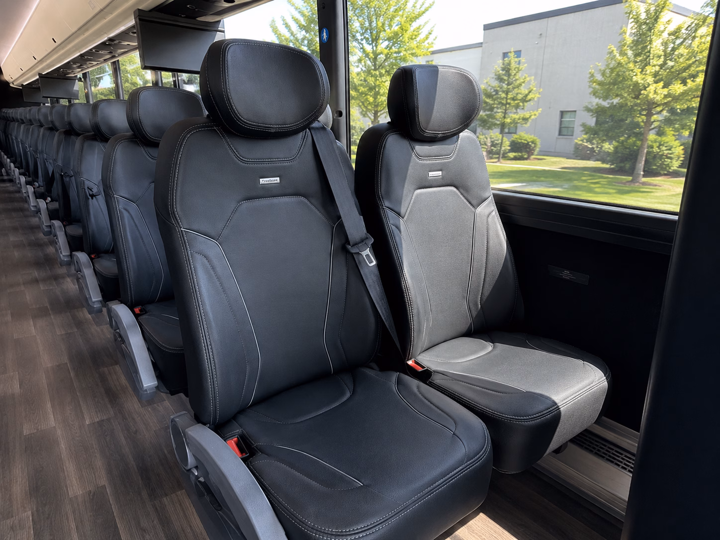comparing chino buses made simple