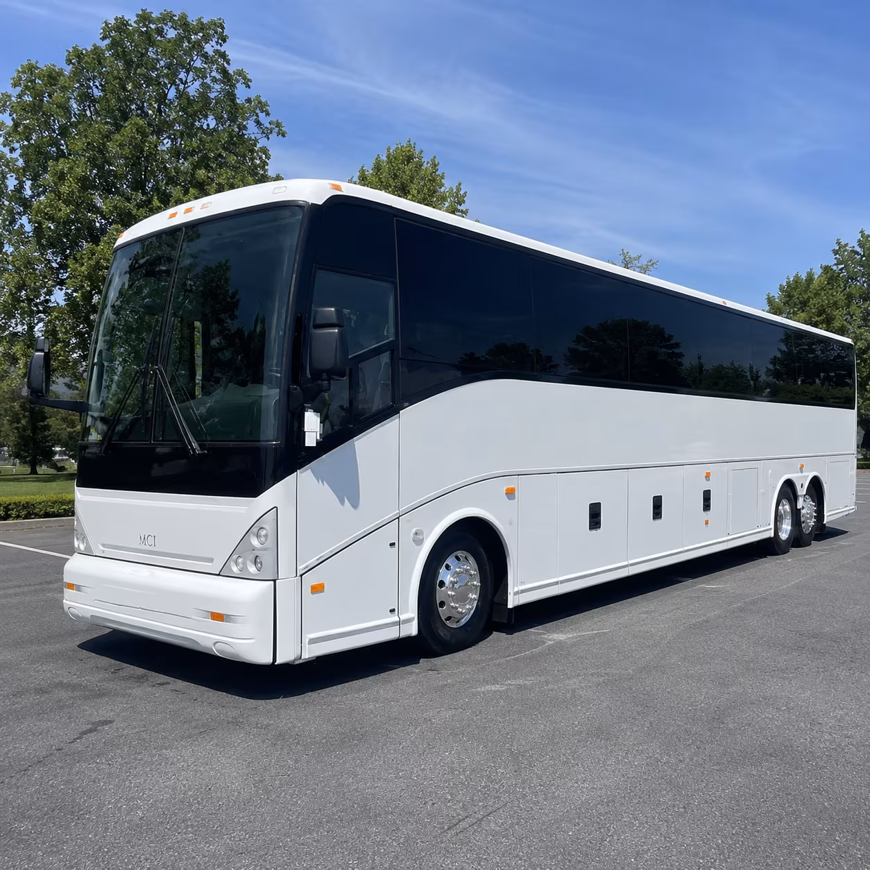 one search for your chino group trip
